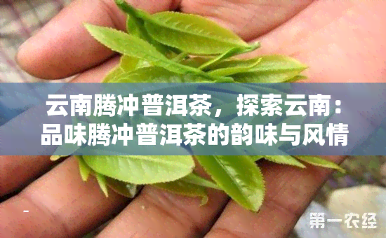 云南腾冲普洱茶，探索云南：品味腾冲普洱茶的韵味与风情