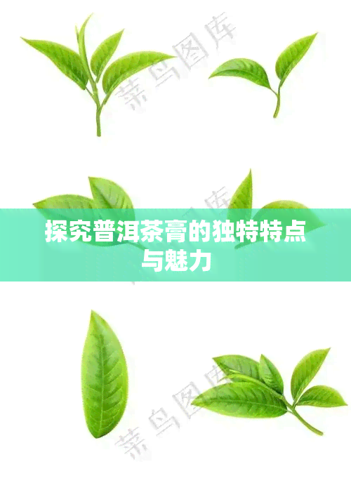 探究普洱茶膏的独特特点与魅力