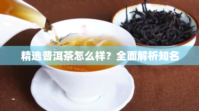 精选普洱茶怎么样？全面解析知名