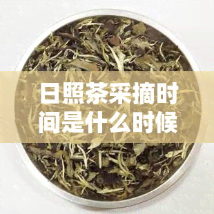 日照茶采摘时间是什么时候？