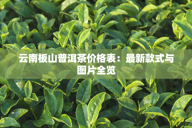 云南板山普洱茶价格表：最新款式与图片全览