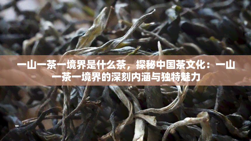 一山一茶一境界是什么茶，探秘中国茶文化：一山一茶一境界的深刻内涵与独特魅力