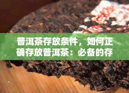 普洱茶存放条件，如何正确存放普洱茶：必备的存放条件和技巧