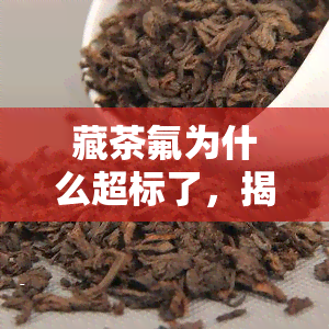 藏茶氟为什么超标了，揭秘：藏茶氟为何超标？