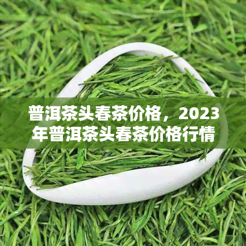 普洱茶头春茶价格，2023年普洱茶头春茶价格行情分析与预测