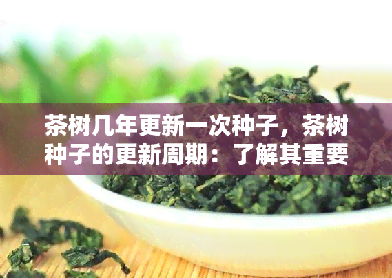 茶树几年更新一次种子，茶树种子的更新周期：了解其重要性和频率