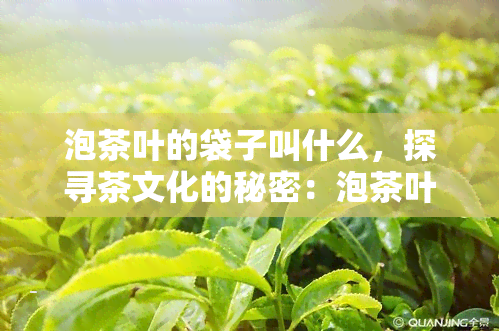 泡茶叶的袋子叫什么，探寻茶文化的秘密：泡茶叶的袋子究竟叫什么？