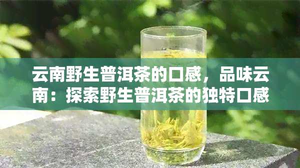 云南野生普洱茶的口感，品味云南：探索野生普洱茶的独特口感