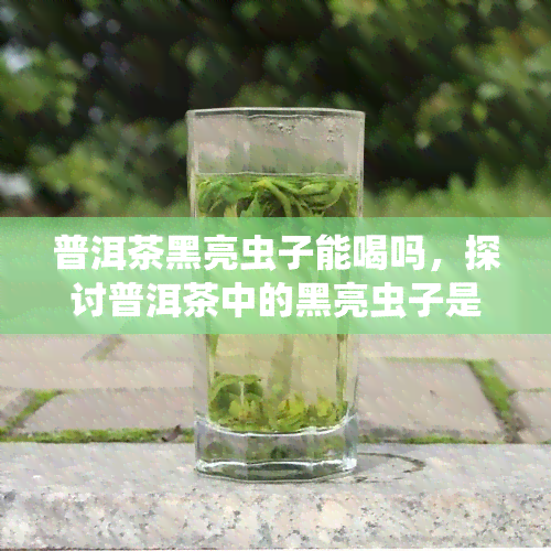 普洱茶黑亮虫子能喝吗，探讨普洱茶中的黑亮虫子是否能饮用？