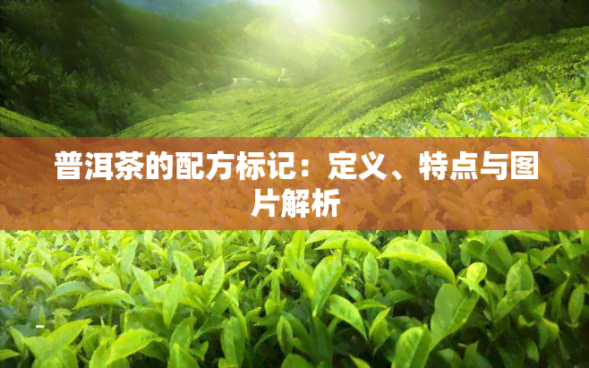 普洱茶的配方标记：定义、特点与图片解析