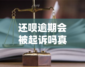 还呗逾期会被起诉吗真还不上怎么办，警惕！还呗逾期可能被起诉，如何应对还款难题？