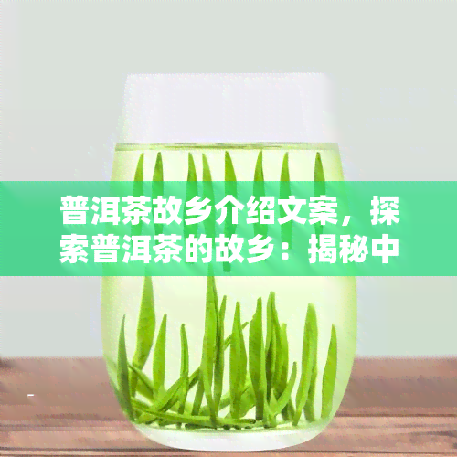 普洱茶故乡介绍文案，探索普洱茶的故乡：揭秘中国茶叶之都的历与文化