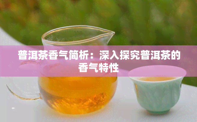 普洱茶香气简析：深入探究普洱茶的香气特性