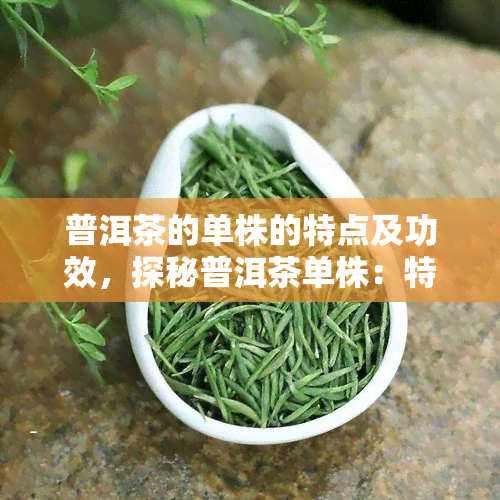 普洱茶的单株的特点及功效，探秘普洱茶单株：特点与多重功效