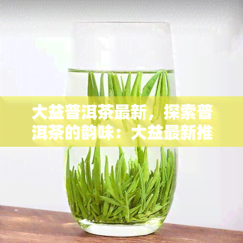 大益普洱茶最新，探索普洱茶的韵味：大益最新推出的普洱茶品鉴