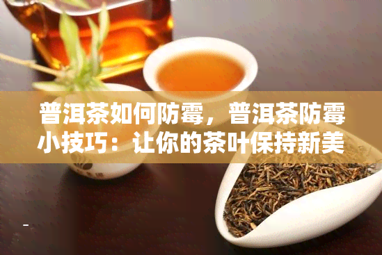 普洱茶如何防霉，普洱茶防霉小技巧：让你的茶叶保持新美味！