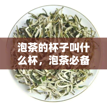 泡茶的杯子叫什么杯，泡茶必备！了解什么是『泡茶杯』