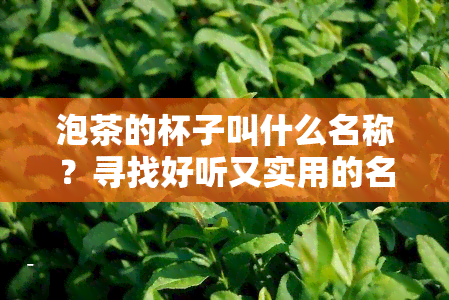 泡茶的杯子叫什么名称？寻找好听又实用的名字！