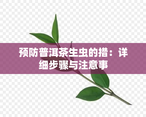 预防普洱茶生虫的措：详细步骤与注意事