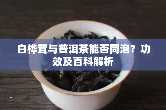 白桦茸与普洱茶能否同泡？功效及百科解析