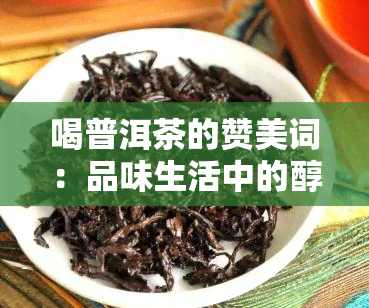 喝普洱茶的赞美词：品味生活中的醇厚香