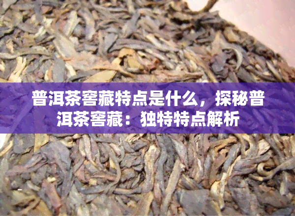 普洱茶窖藏特点是什么，探秘普洱茶窖藏：独特特点解析