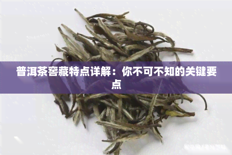 普洱茶窖藏特点详解：你不可不知的关键要点