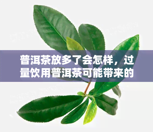 普洱茶放多了会怎样，过量饮用普洱茶可能带来的影响