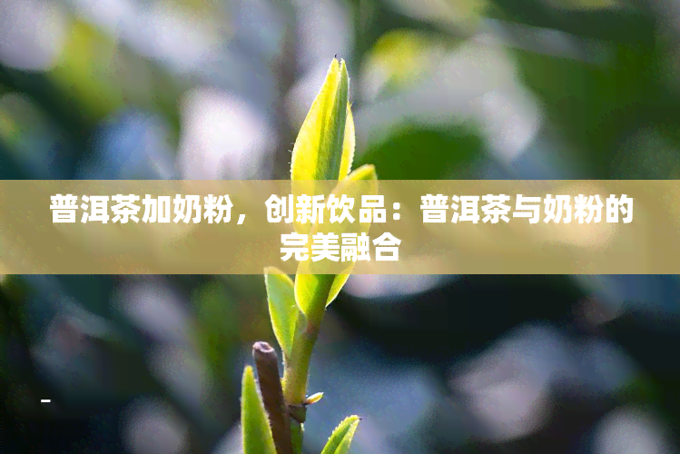 普洱茶加奶粉，创新饮品：普洱茶与奶粉的完美融合