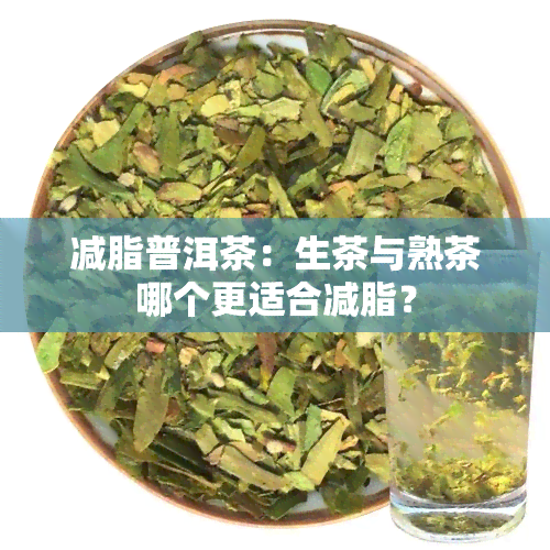 减脂普洱茶：生茶与熟茶哪个更适合减脂？