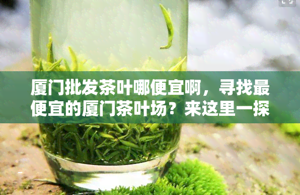 厦门批发茶叶哪便宜啊，寻找更便宜的厦门茶叶场？来这里一探究竟！