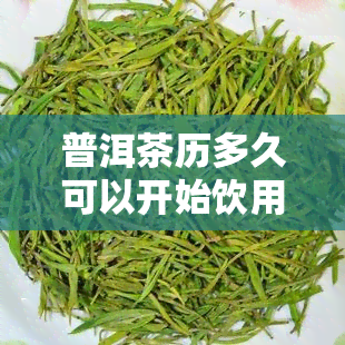 普洱茶历多久可以开始饮用？