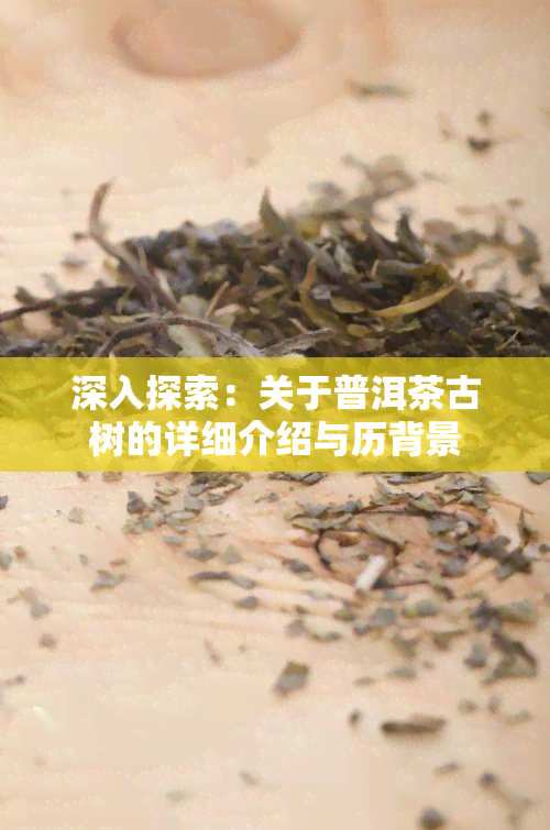 深入探索：关于普洱茶古树的详细介绍与历背景