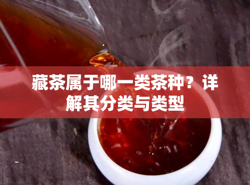 藏茶属于哪一类茶种？详解其分类与类型