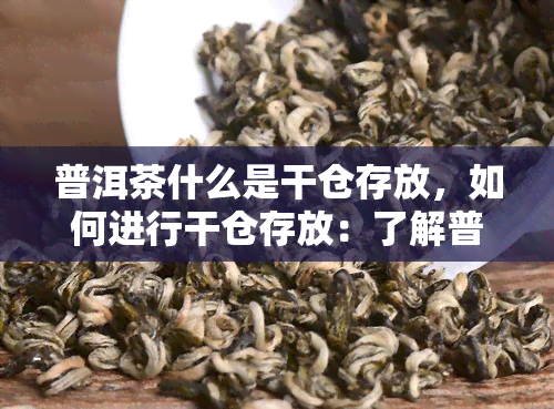 普洱茶什么是干仓存放，如何进行干仓存放：了解普洱茶的正确保存方法