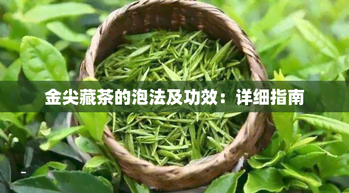 金尖藏茶的泡法及功效：详细指南