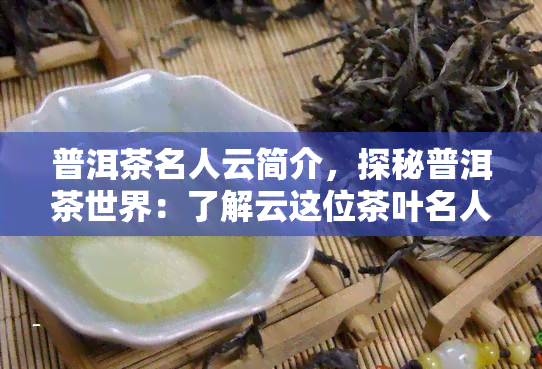 普洱茶名人云简介，探秘普洱茶世界：了解云这位茶叶名人的生平与贡献