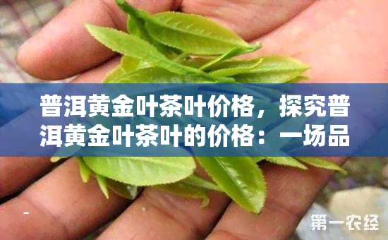 普洱黄金叶茶叶价格，探究普洱黄金叶茶叶的价格：一场品质与价值的较量