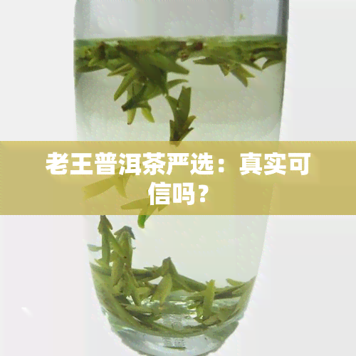 老王普洱茶严选：真实可信吗？