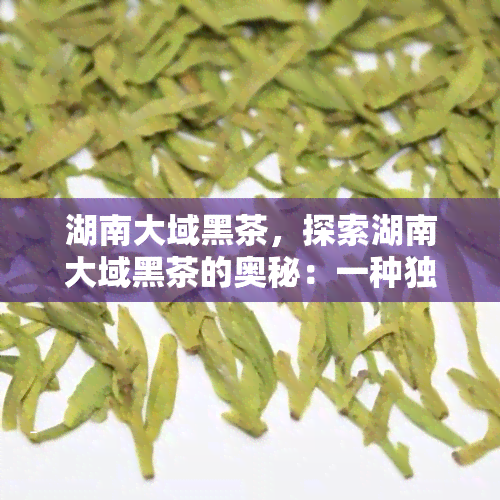 湖南大域黑茶，探索湖南大域黑茶的奥秘：一种独特的茶叶品种