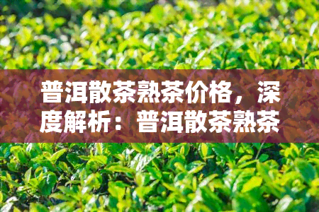 普洱散茶熟茶价格，深度解析：普洱散茶熟茶的价格影响因素与购买指南