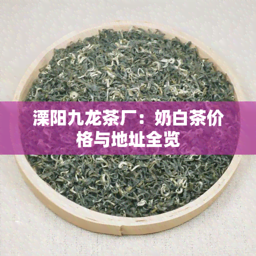 溧阳九龙茶厂：奶白茶价格与地址全览