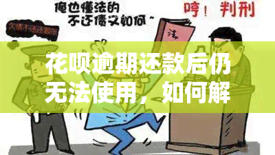 花呗逾期还款后仍无法使用，如何解决？