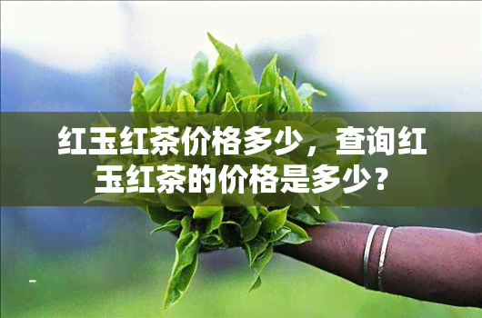 红玉红茶价格多少，查询红玉红茶的价格是多少？