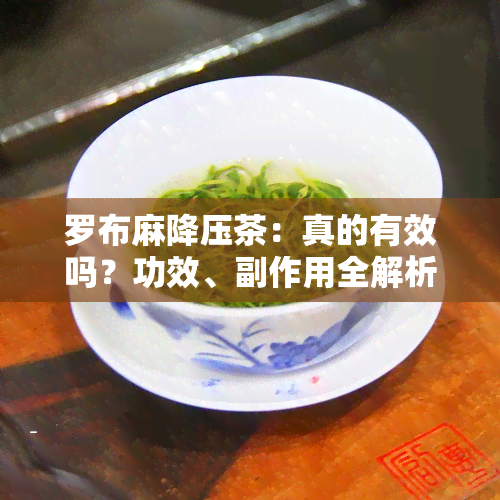 罗布麻降压茶：真的有效吗？功效、副作用全解析