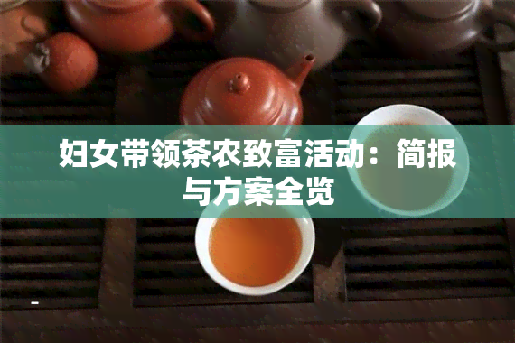 妇女带领茶农致富活动：简报与方案全览