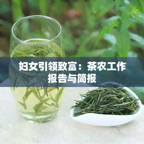 妇女引领致富：茶农工作报告与简报