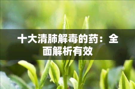 十大清肺解的：全面解析有效