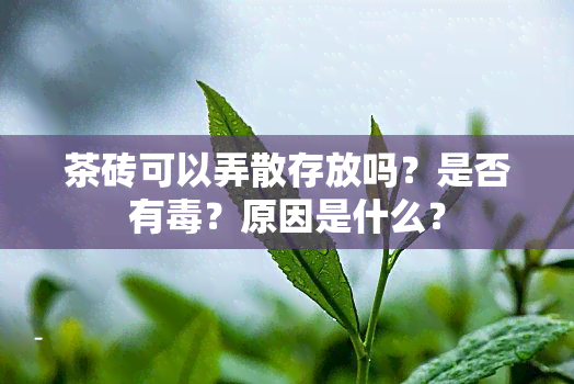 茶砖可以弄散存放吗？是否有？原因是什么？