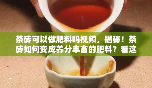 茶砖可以做肥料吗视频，揭秘！茶砖如何变成养分丰富的肥料？看这里！